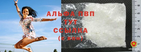 стаф Арсеньев