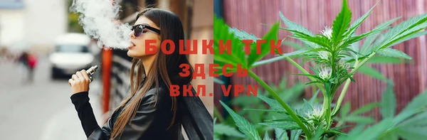 стаф Арсеньев