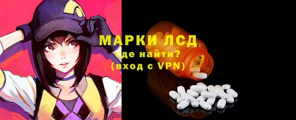 стаф Арсеньев