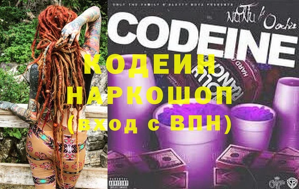 стаф Арсеньев