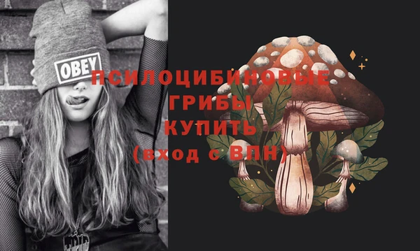 гашик Армянск