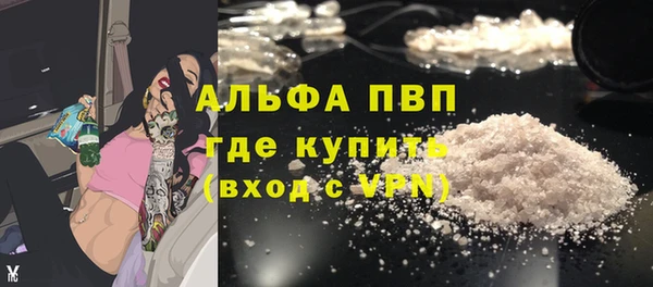 стаф Арсеньев