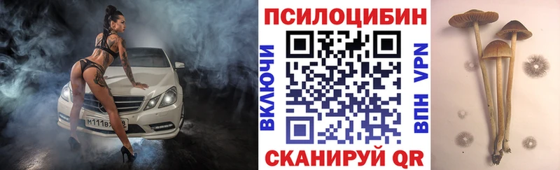 Галлюциногенные грибы GOLDEN TEACHER  Павлово 